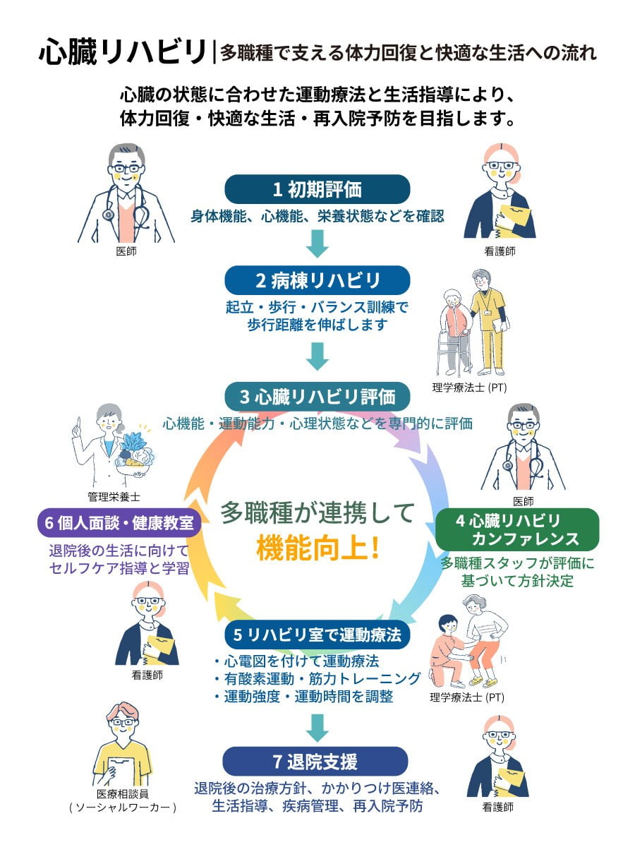 心臓リハビリ：多職種で支える体力回復と快適な生活への流れ。1初期評価、2病棟リハビリ、3心臓リハビリ評価、4心臓リハビリカンファレンス、5リハビリ室で運動療法、6個人面談・健康教室、7退院支援。